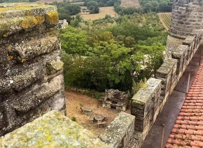 Sejour De Reve Au Chateau Lejlighed Valence (Gard)